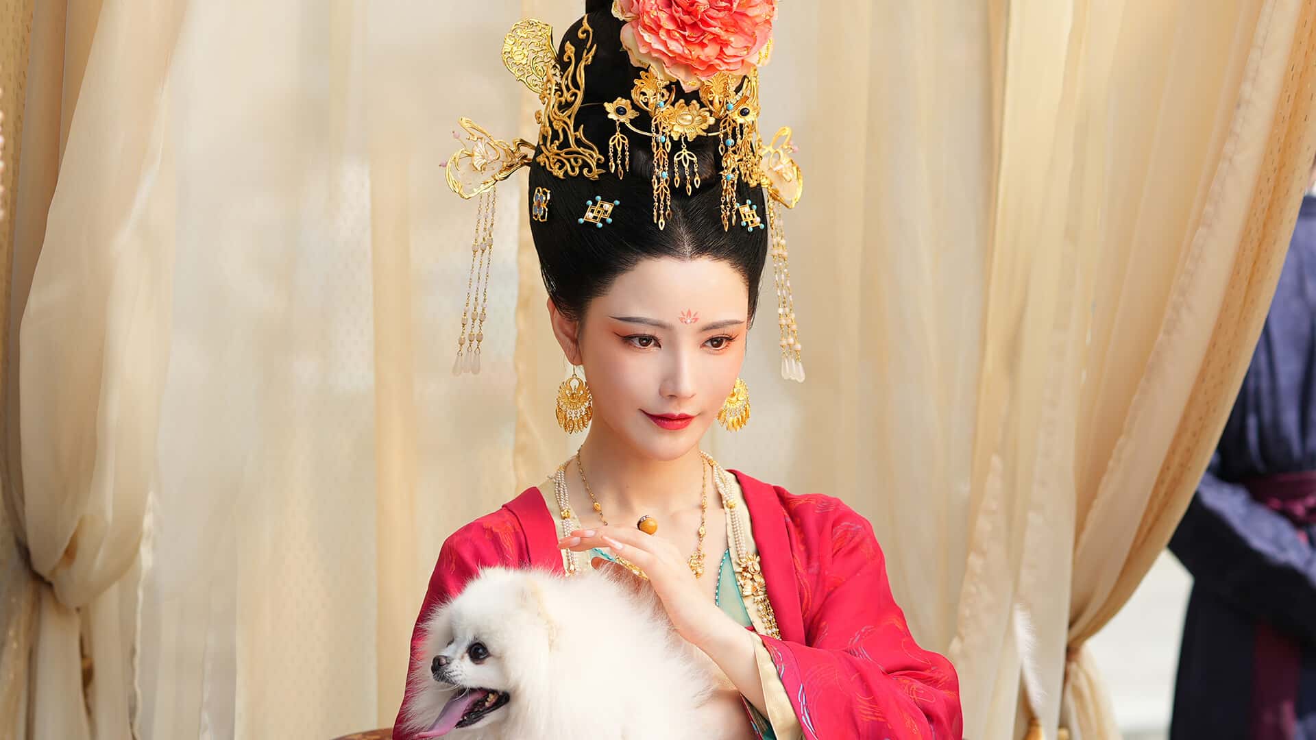 视觉数据1